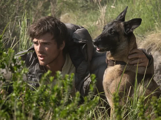 The Dog Stars to One Night Only: 10 of the best films to watch this August