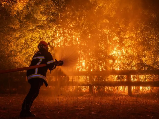 Wildfire now nine miles from French city of Bordeaux, mayor warns