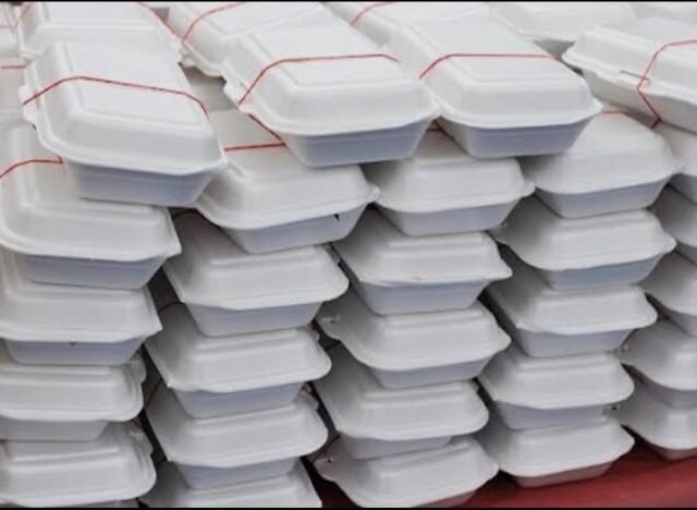 EPA to intensify public education ahead of styrofoam ban, prioritises voluntary compliance