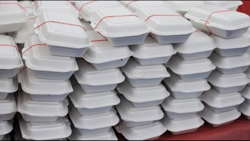 EPA to intensify public education ahead of styrofoam ban, prioritises voluntary compliance