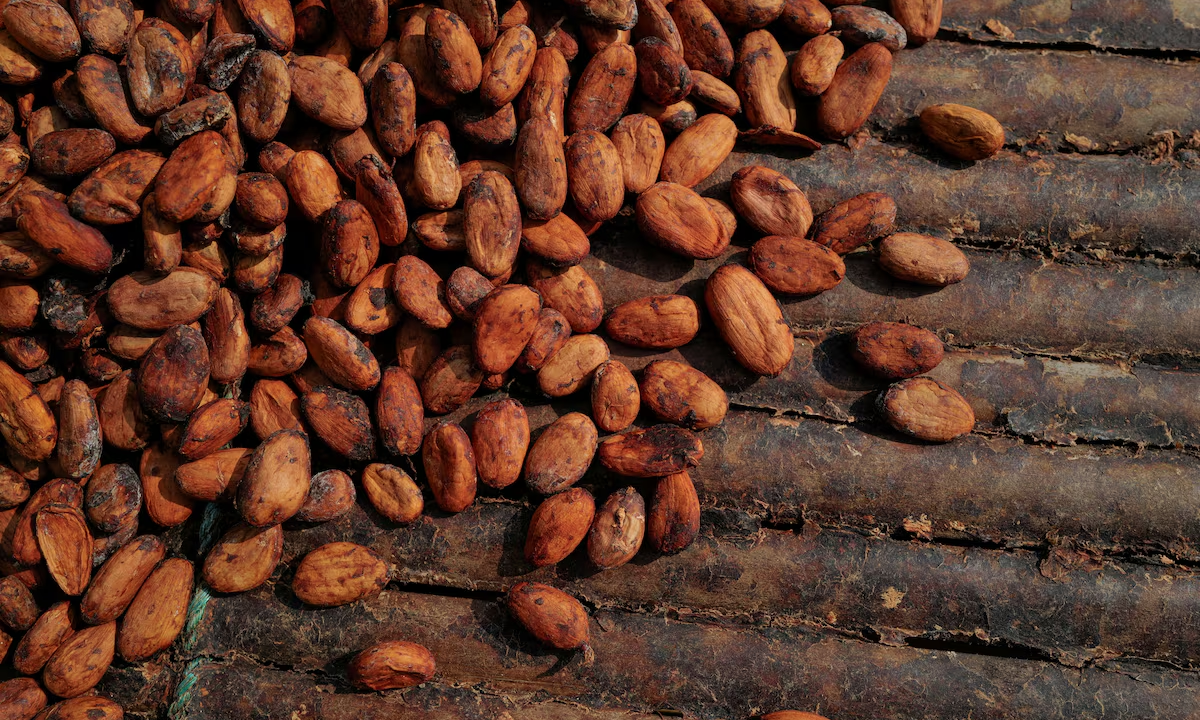 Ghana’s cocoa production is expected to fall 16% next season