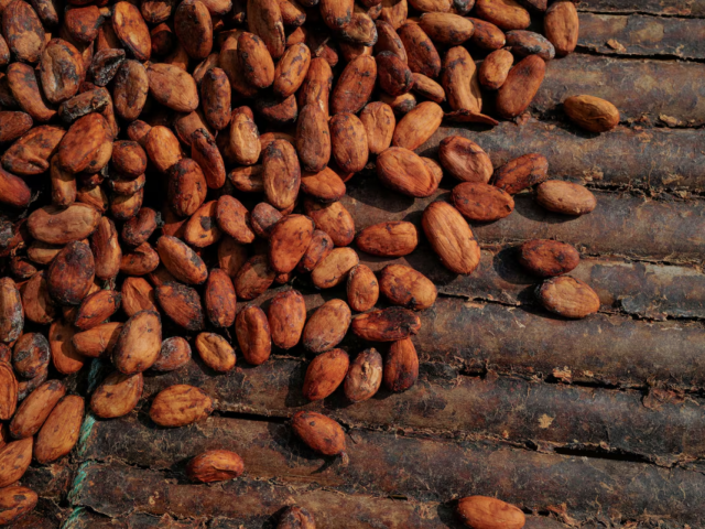 Ghana’s cocoa production is expected to fall 16% next season