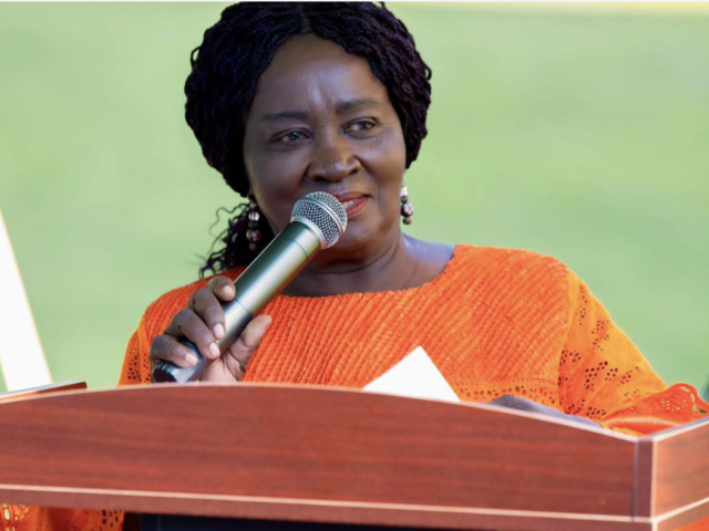 Vice President Opoku-Agyemang engages Ghanaians in Maryland, United States