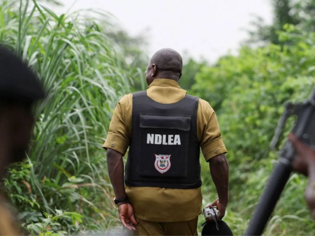 How Mexican drug cartels have outsourced meth labs to Nigeria