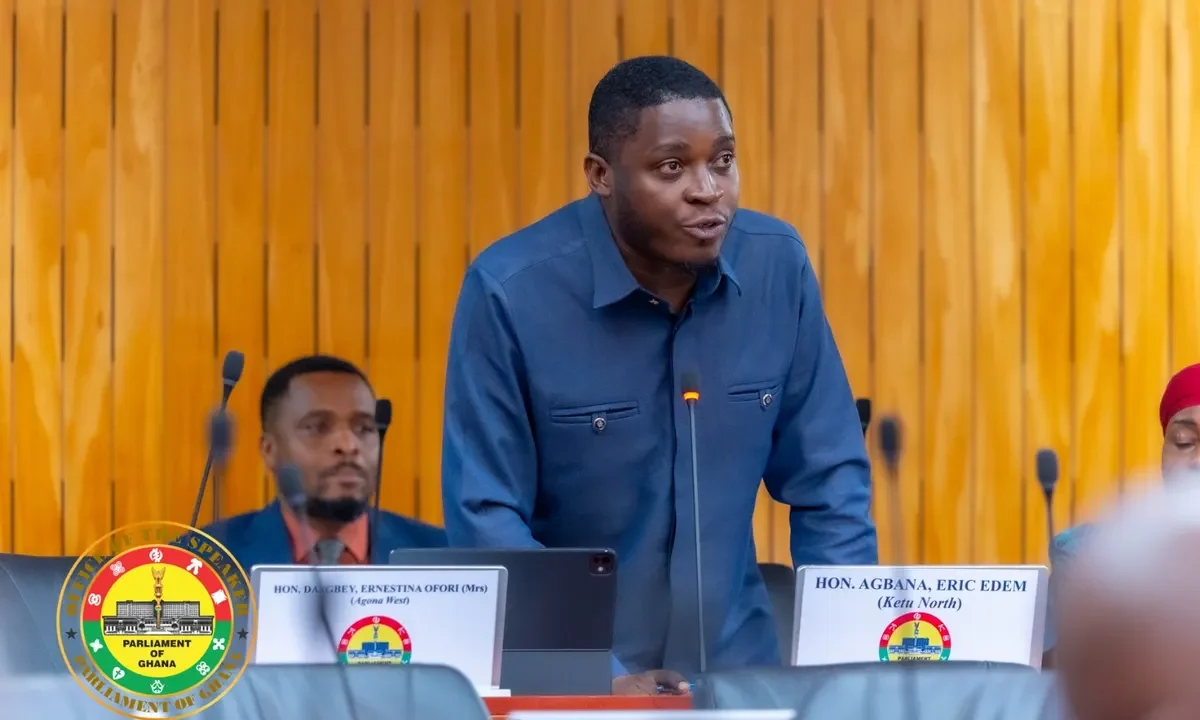 Government's fiscal discipline appears to the Minority as 'not spending' - Ketu South MP