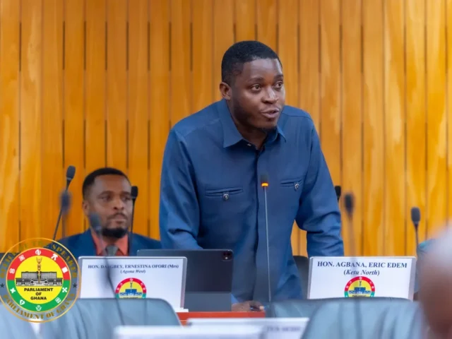 Government's fiscal discipline appears to the Minority as 'not spending' - Ketu South MP