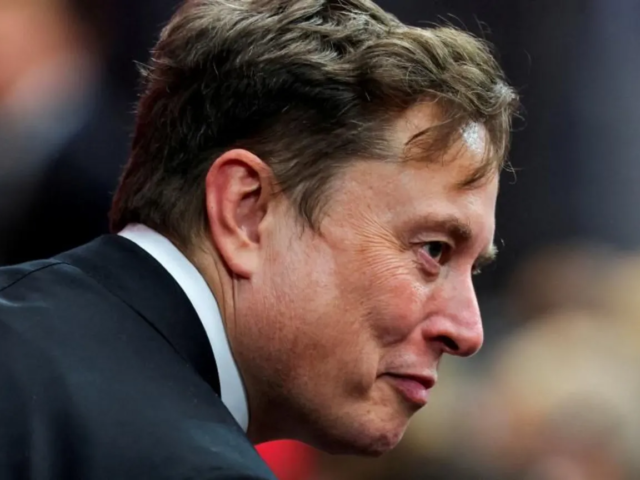 Musk takes ‘crusade’ to Europe with Armie Hammer film