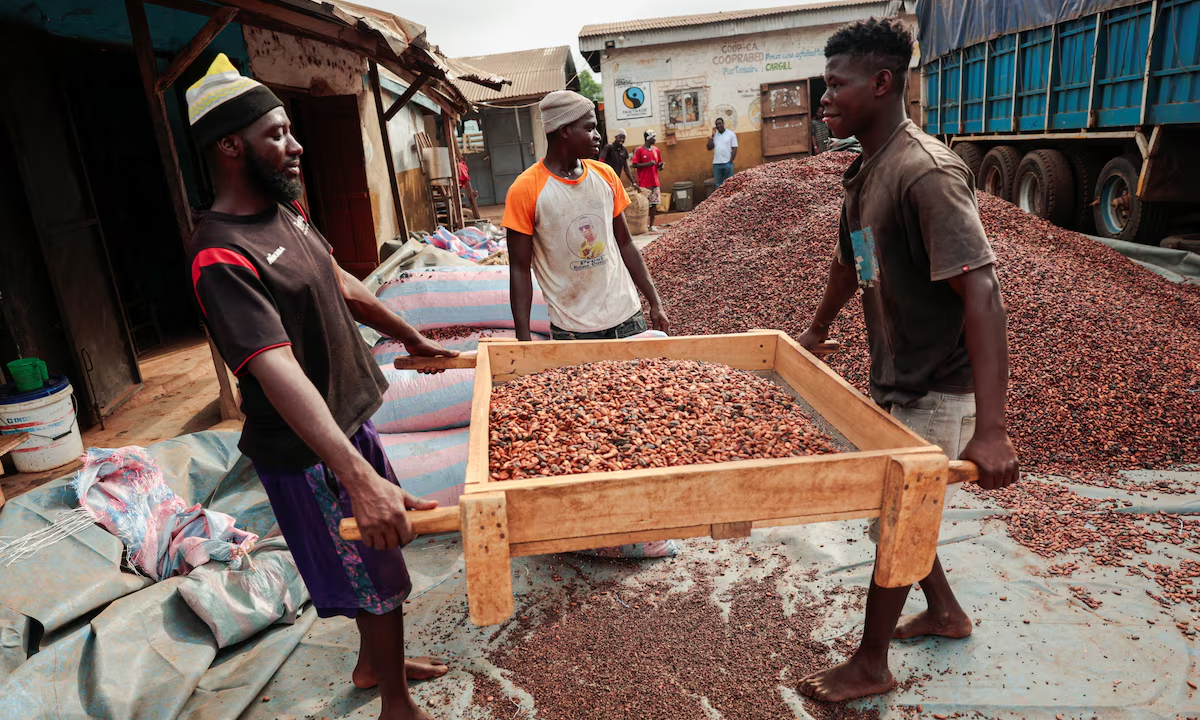 Cocoa farmers could lose guaranteed prices under new law – Oppong Nkrumah