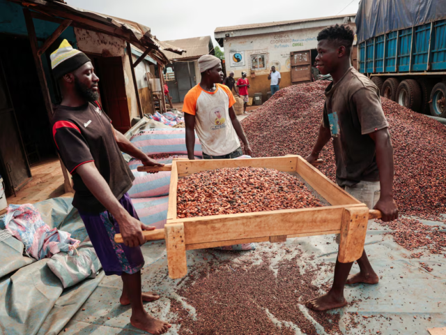 Cocoa farmers could lose guaranteed prices under new law – Oppong Nkrumah