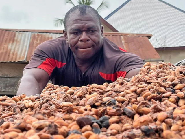 New cocoa pricing formula will leave farmers worse off – Oppong Nkrumah warns