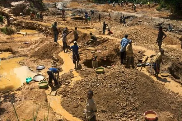 We lost leadership in the galamsey fight – A-Rocha Ghana