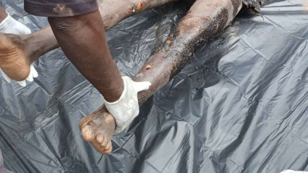Farmer allegedly kills wife, dies by suicide in Bono Region
