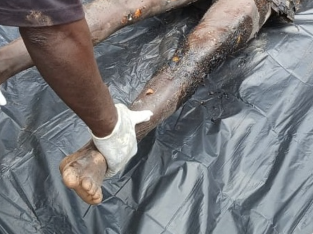 Farmer allegedly kills wife, dies by suicide in Bono Region