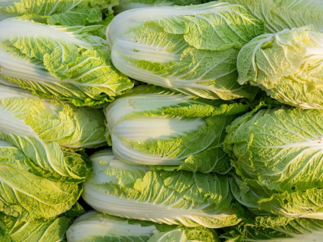 China probes use of formaldehyde to keep cabbages fresh