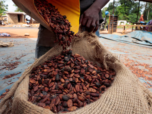 New COCOBOD Bill: Protecting cocoa should not come at the cost of farmers’ rights