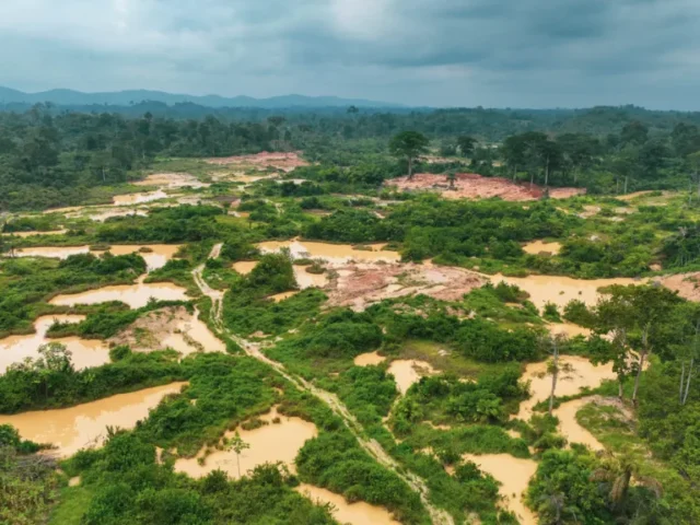 Galamsey is taking back our forests – Erastus Asare Donkor warns gains are being lost