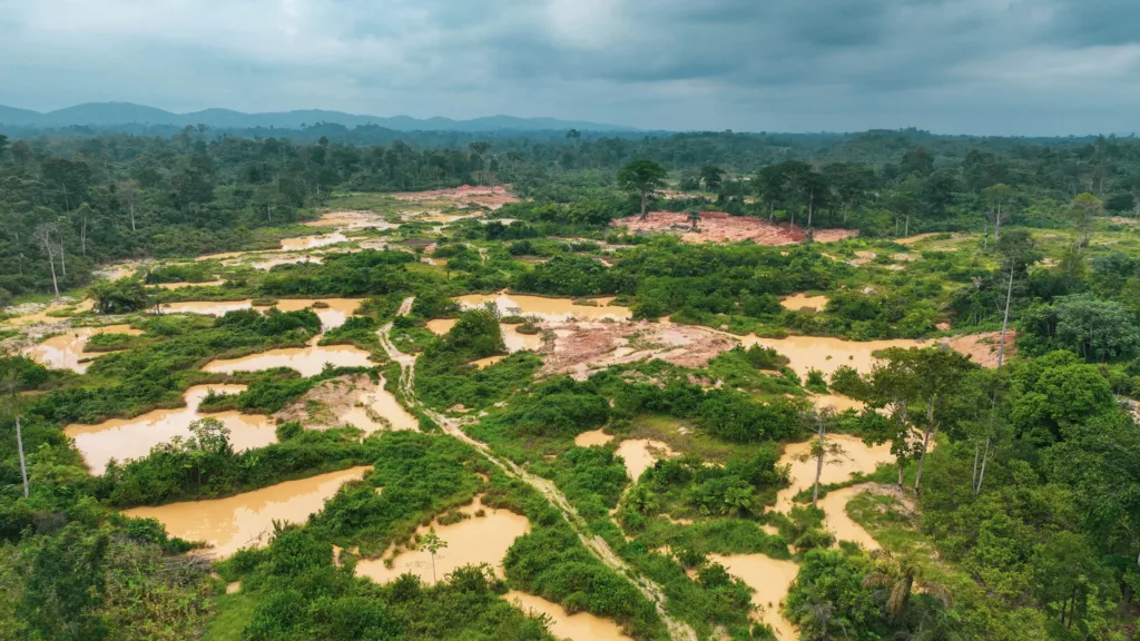 Galamsey is taking back our forests – Erastus Asare Donkor warns gains are being lost