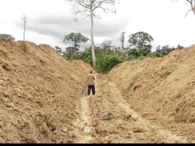 Fighting illegal mining needs something similar to 24-hour economy policy - WR Manager of Forestry Commission