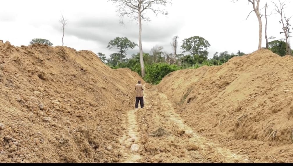 Fighting illegal mining needs something similar to 24-hour economy policy - WR Manager of Forestry Commission