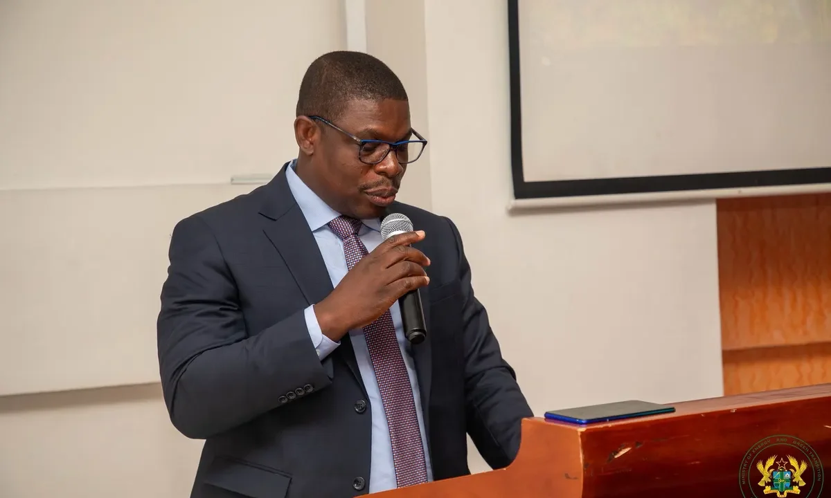 Govt made critical intervention to avert erratic power supply - Deputy Energy Minister