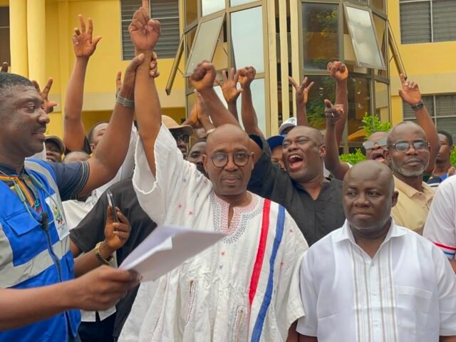 NPP polls: Makafui Woanya re-elected as Volta Regional Chairman