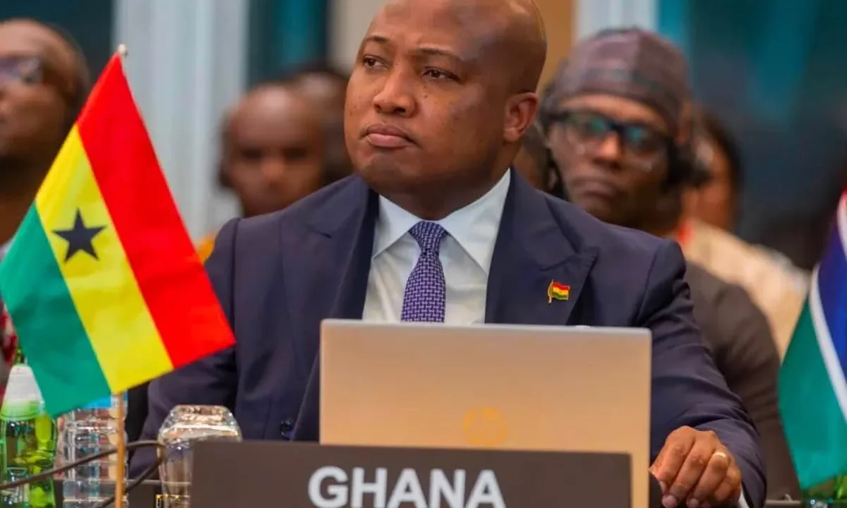 Have an honest introspection of the real causes of conflict in Africa - Ablakwa tells African leaders