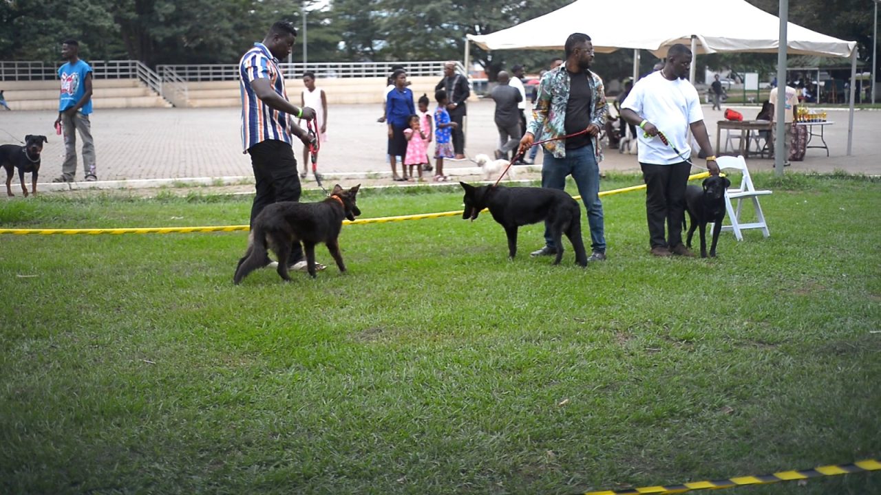 Dog handlers promote animal welfare as classic dog show captivates Kumasi