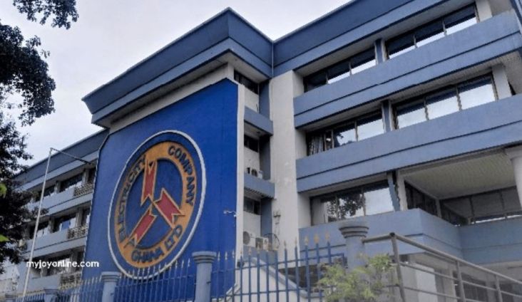 ECG should remain a public entity - PUWU