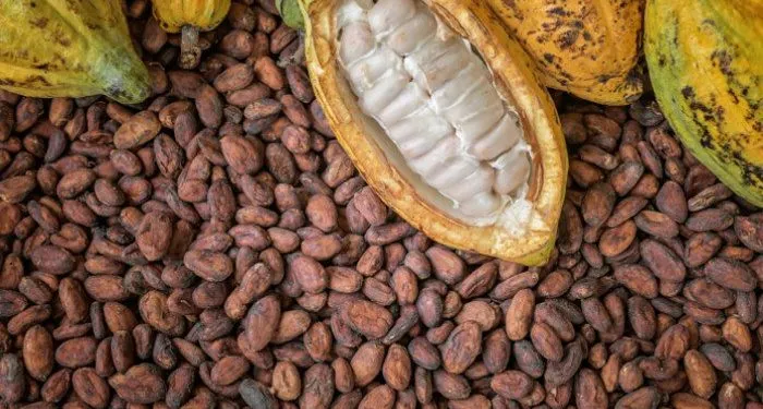 GHS16.3b Domestic Cocoa Notes Programme to boost cocoa financing - Finance Ministry