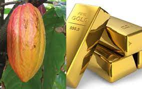 Strategy of accumulating foreign reserves, gold carries high fiscal cost – S&P Global