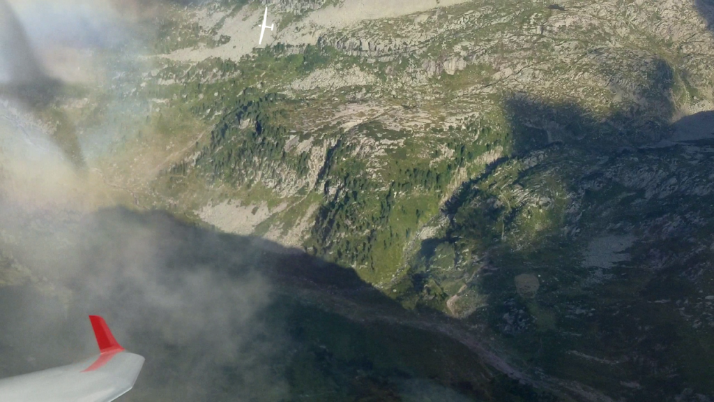 A glider in flight
