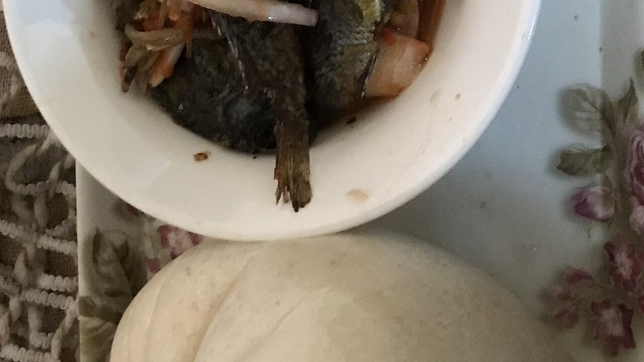 Akple with pepper and fried fish
