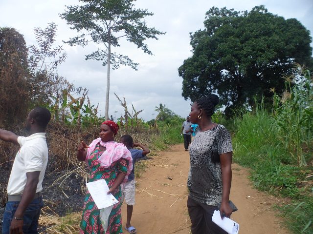 Plots of land for sale at Asuboi
