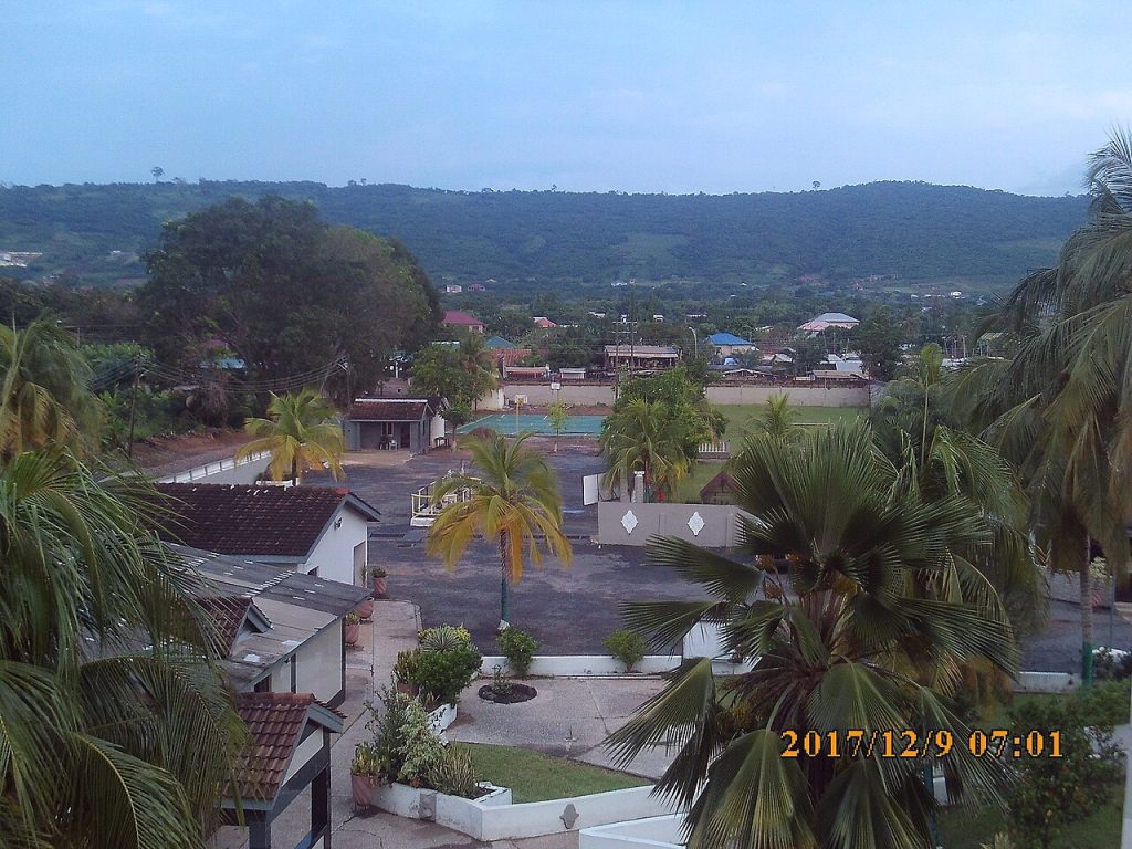 Coconut and palm trees seen from a balcony in Dodowa