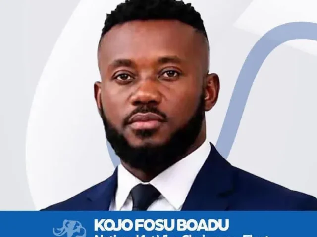 This is not a victory for an individual or group - NPP's 1st National Vice Chairman
