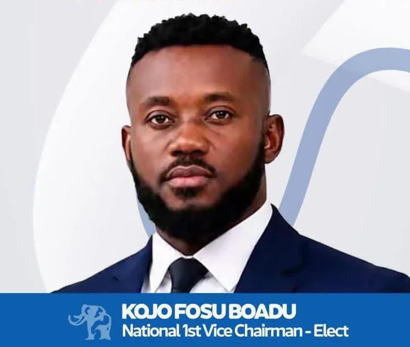 This is not a victory for an individual or group - NPP's 1st National Vice Chairman
