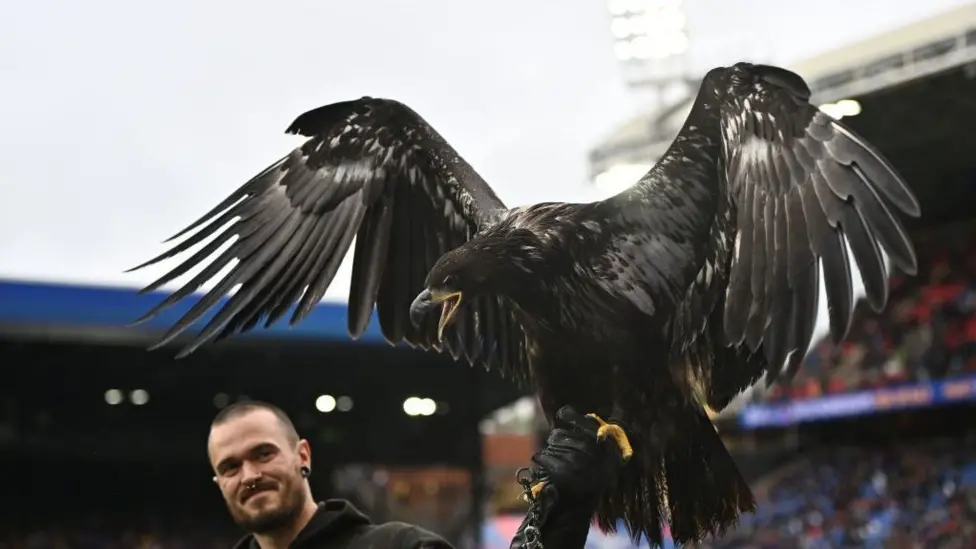 Crystal Palace urged to retire bald eagle mascot