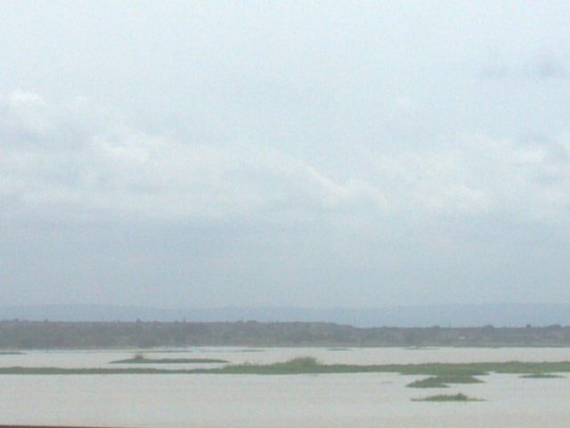 Part of the Sakumono Lagoon at the Ramsar site
