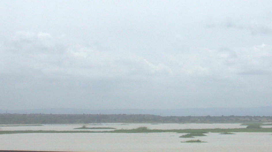 Part of the Sakumono Lagoon at the Ramsar site