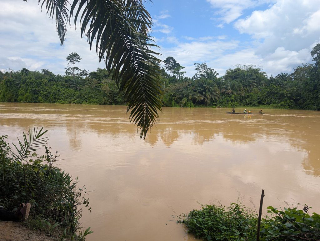 The River Pra, discoloured by mining