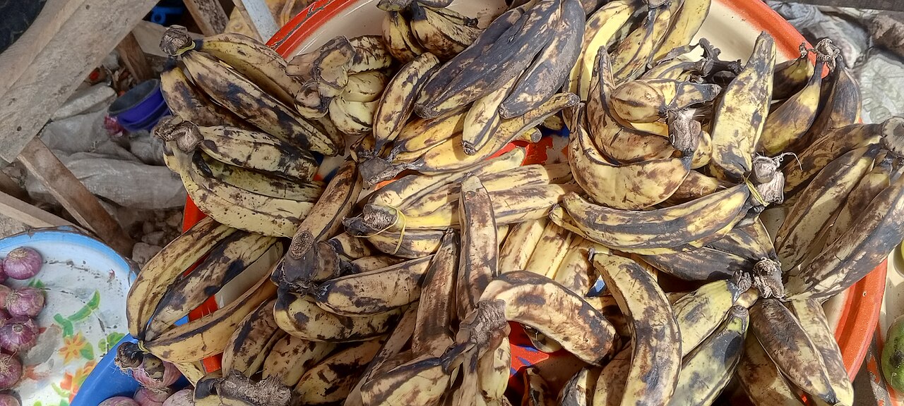 Bunches of ripe plantain